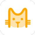 猫猫盒子手机版免费下载（暂未上线）-猫猫盒子手机版安卓版免费下载