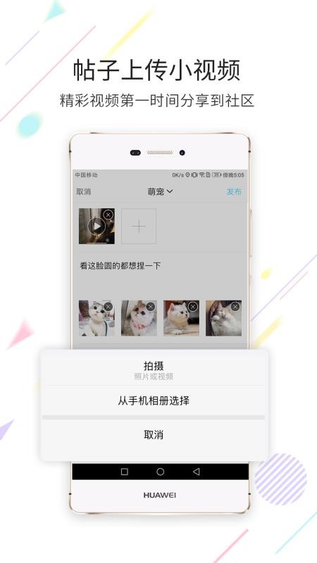 app- v2.4.5 ׿