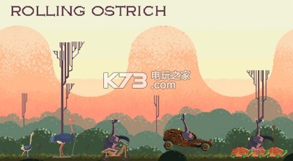 °-rolling ostrichϷv1.2.9׿