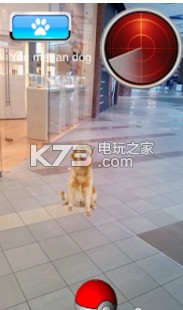 口袋小狗go下载-pocket puppy go苹果手机版v1.1